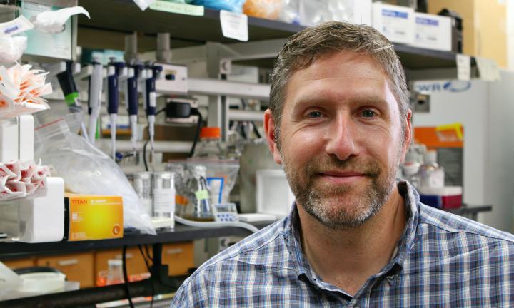 Nathan M. Sherer, PhD